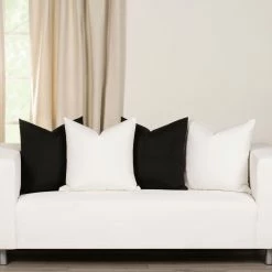 Best reviews of 🛒 Siscovers Silver Ion Stain-Resistant Throw Pillow Silver Ion White 🧨