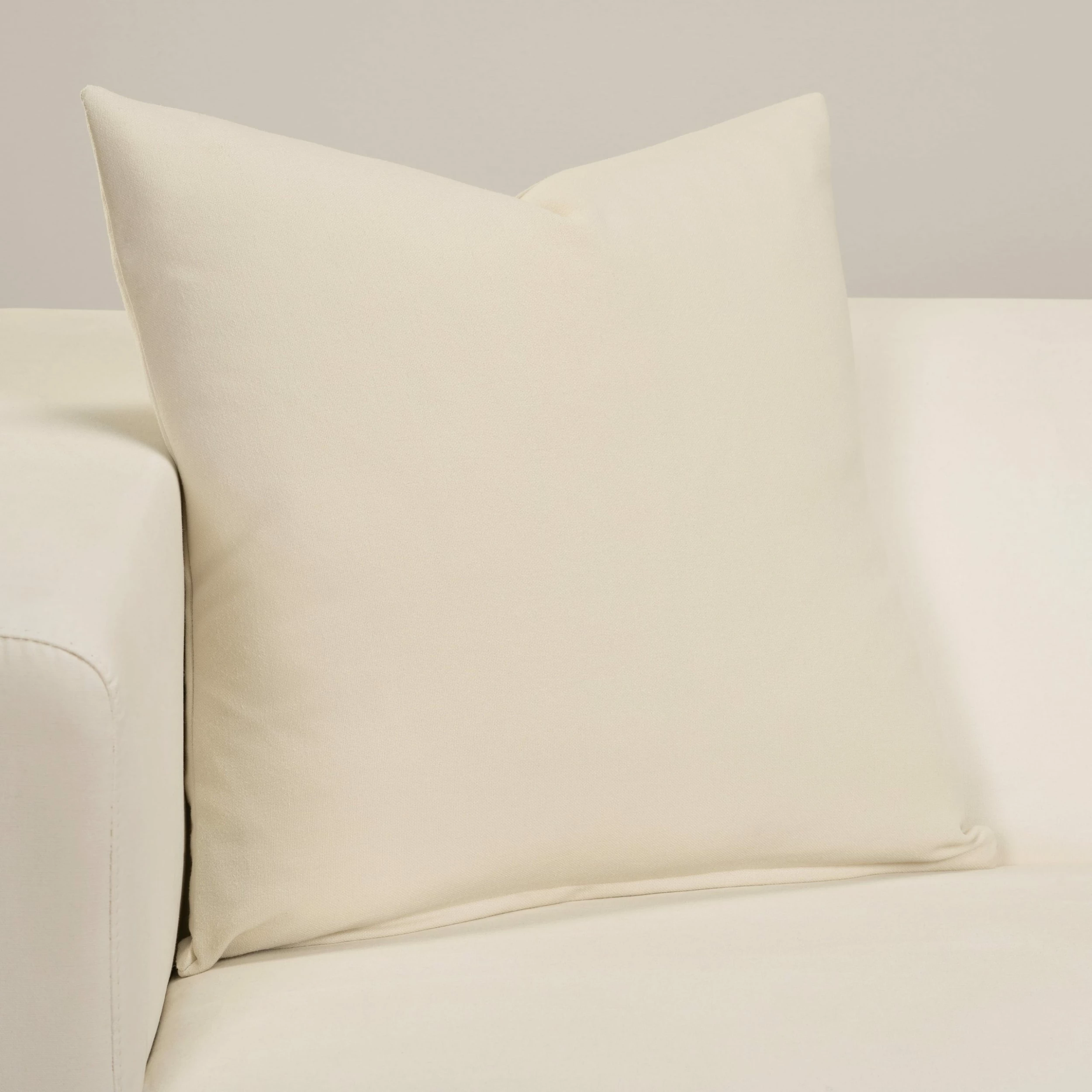 Wholesale π€© SIScovers Trident Bone Designer Throw Pillow π